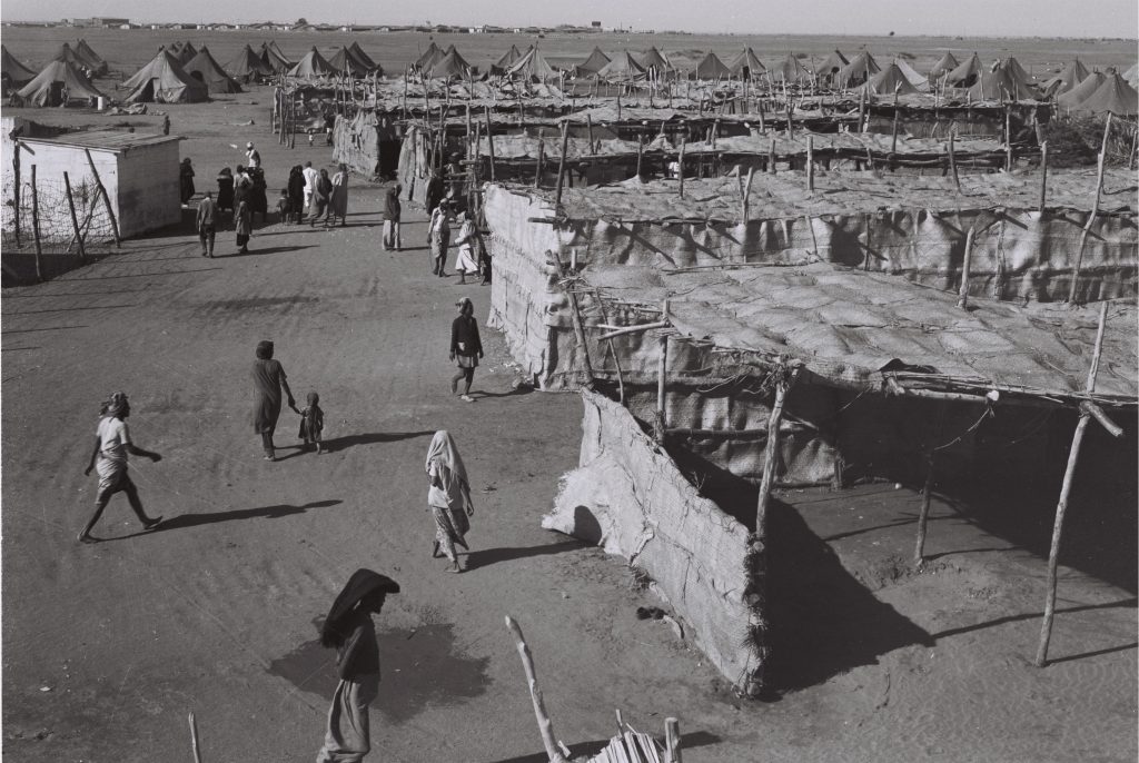 מחנה חאשד בעדן, 1949 (דוד אלדן, לע"מ)